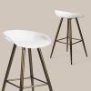 Bak Bar & Counter Stool (Set of 2)